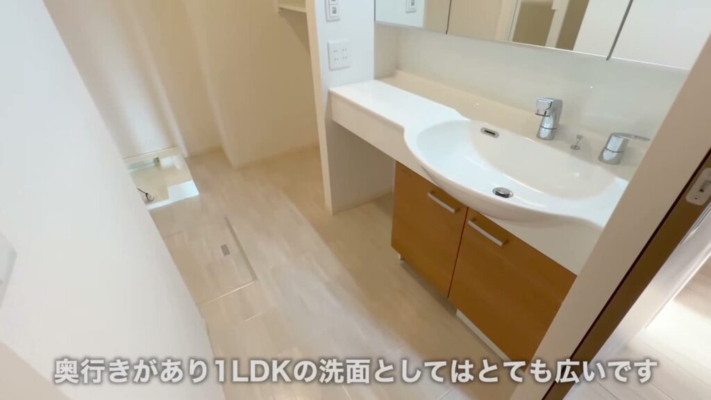 Kanata kogo 1LDKの洗面所