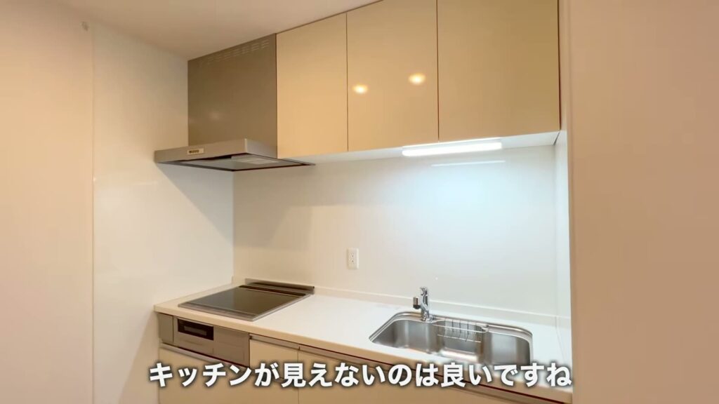 Kanata kogo 1LDKの吊戸棚