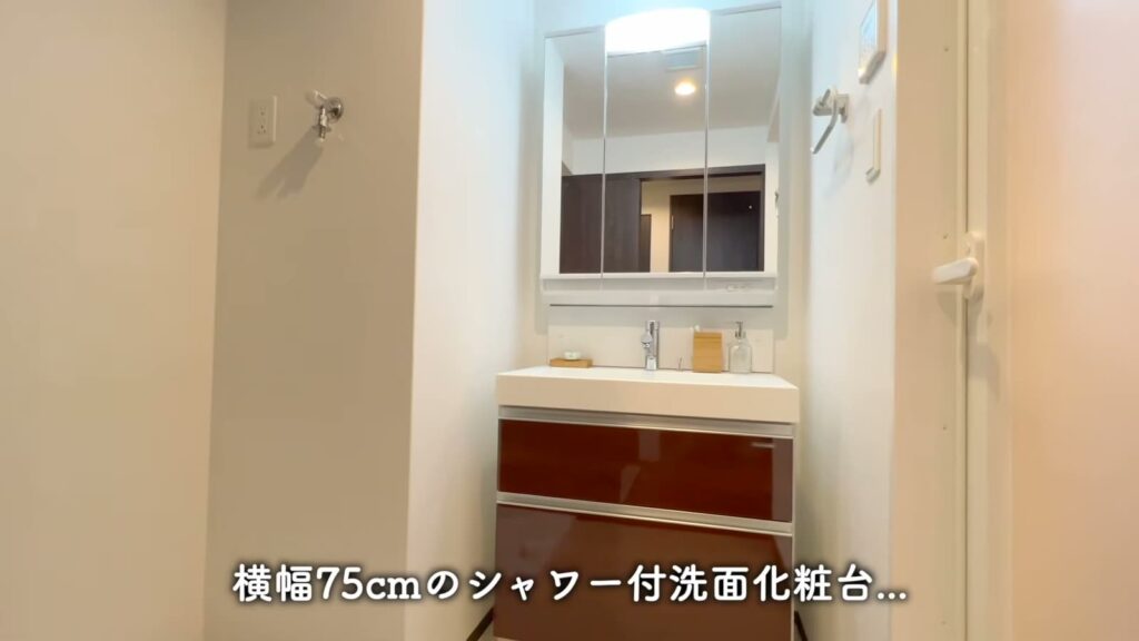 プレジオ布施ASIAN 1LDKの洗面所