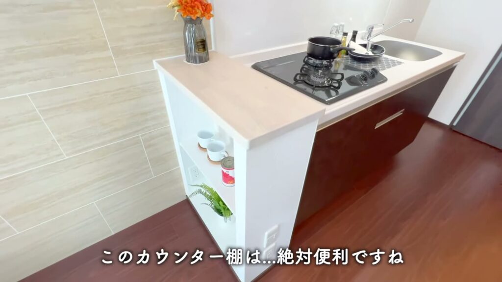 プレジオ布施ASIAN 1LDKのカウンター棚