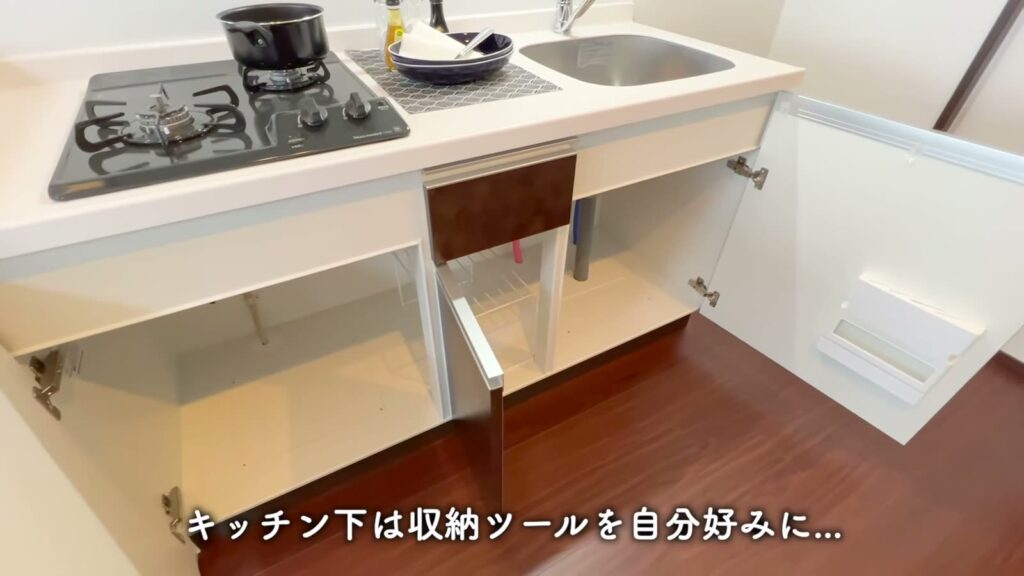 プレジオ布施ASIAN 1LDKのキッチン下収納