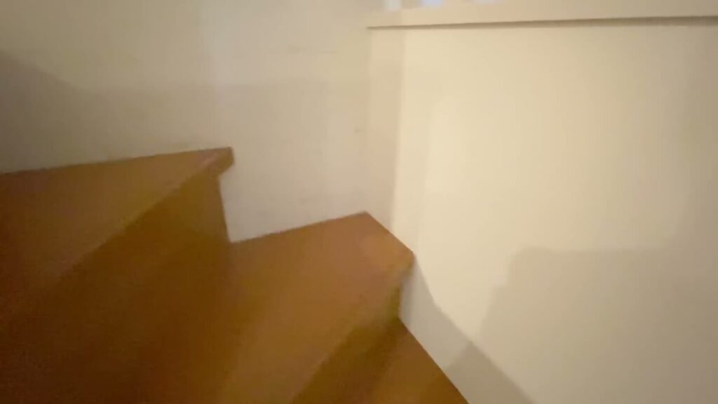 2LDKのロフトの階段