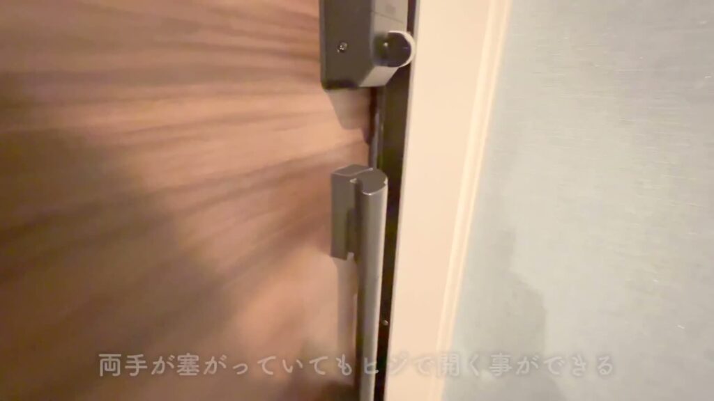 1LDKのプッシュプルハンドル