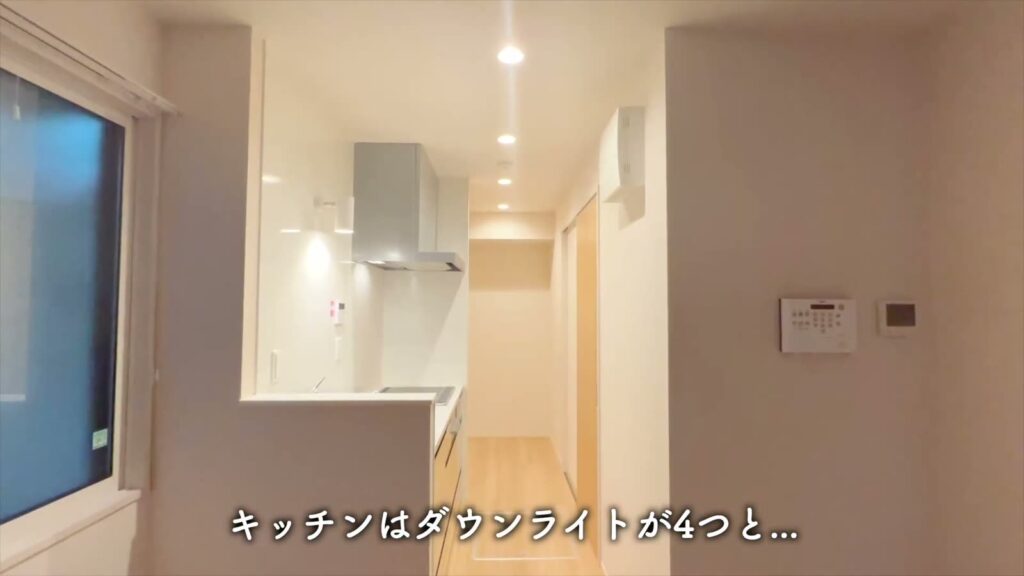 広島市南区段原の1R 1Rのキッチンの通路