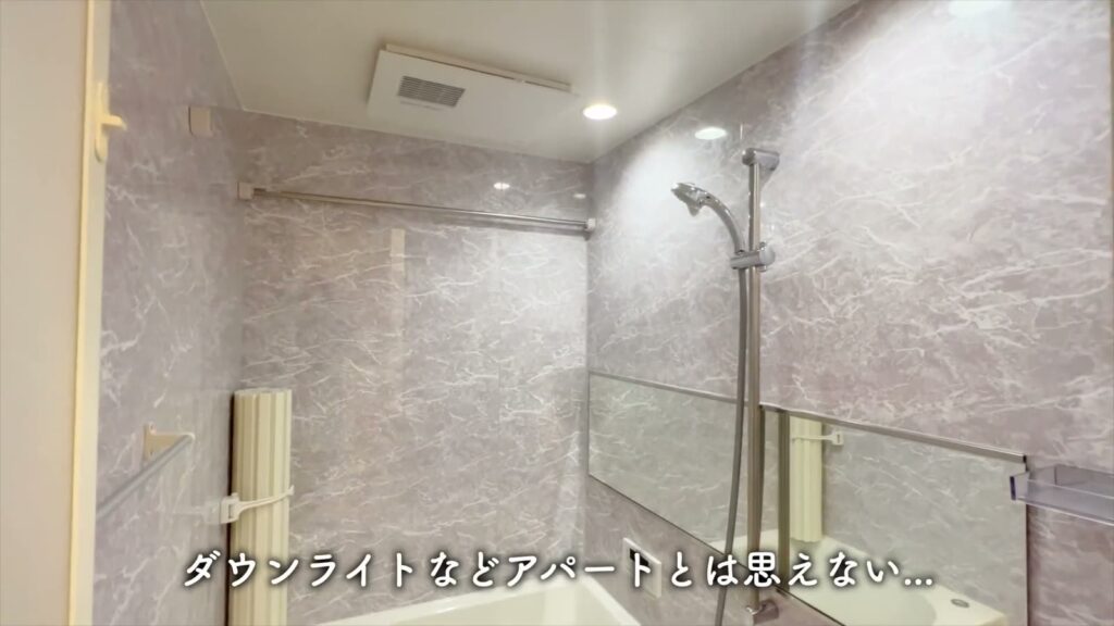 広島市南区段原の1R 1Rのダウンライト