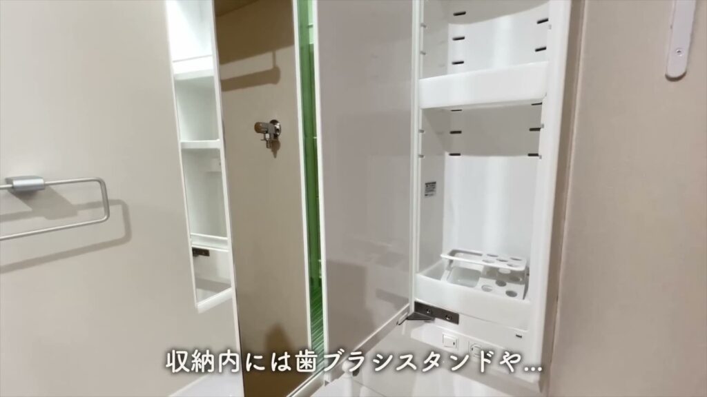 1LDKの鏡裏の収納