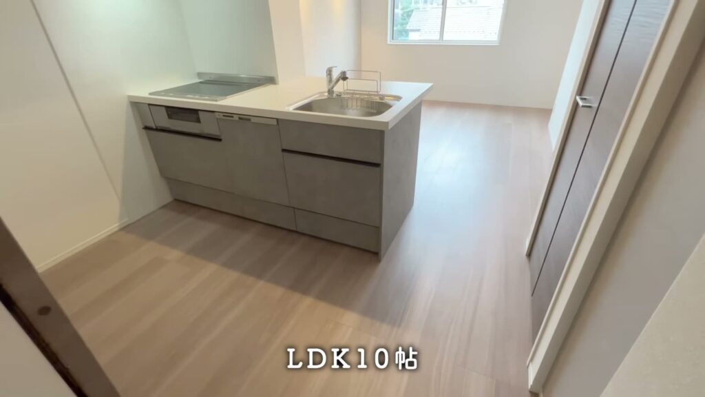 1LDKのキッチンとLDK