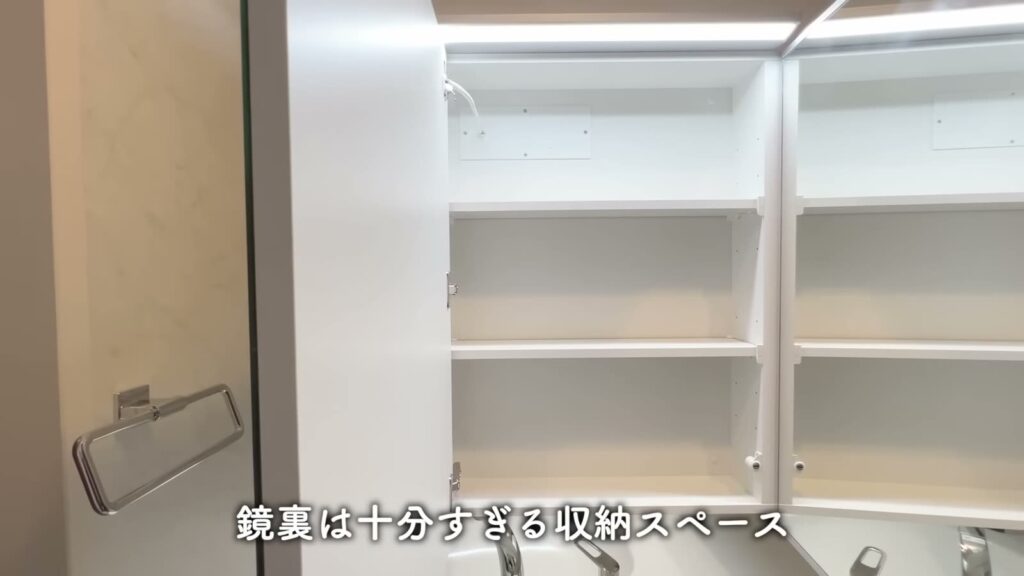 フィオーレ井口明神 1LDKの鏡裏の収納