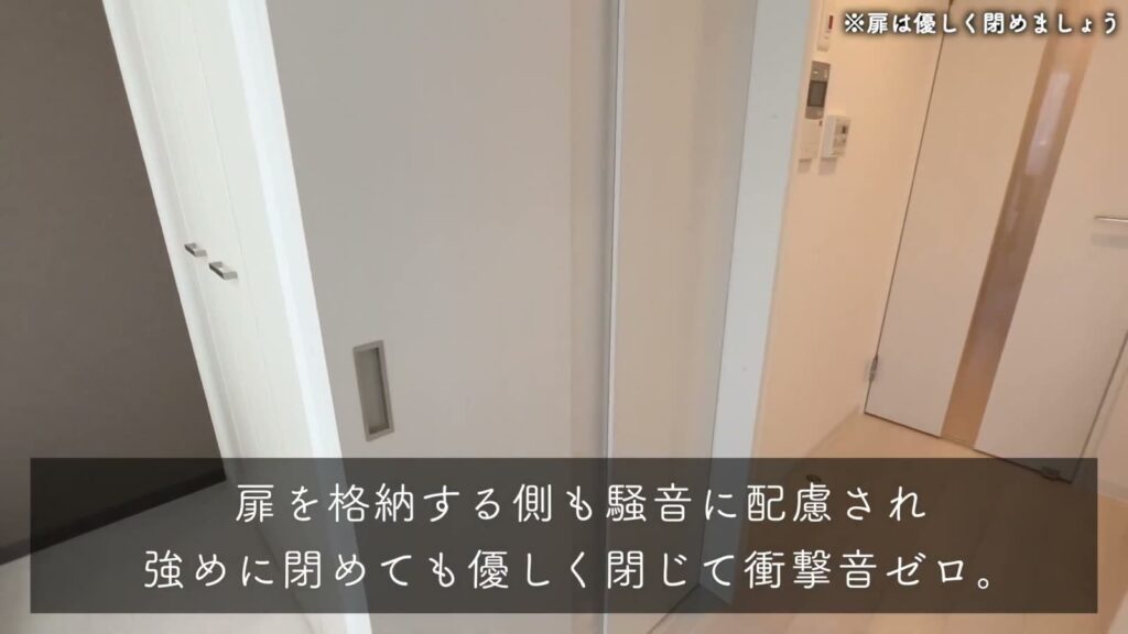 Luxe 三国駅前 1DKの扉の収納側