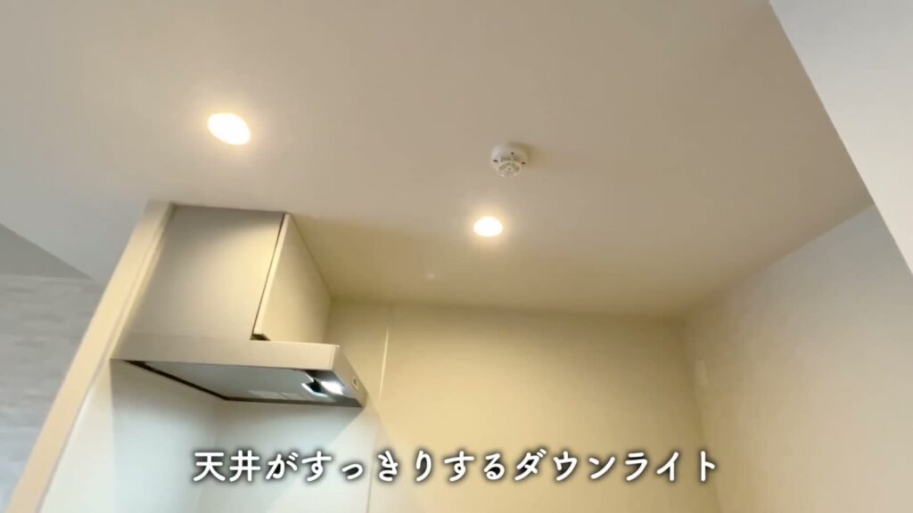 1LDKの天井のダウンライト