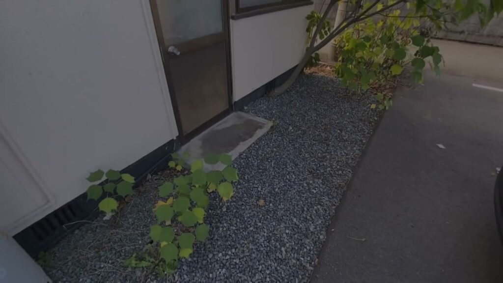 広島県の平屋 3Kの勝手口の外