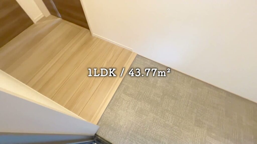 舟入幸町の1LDK 1LDKの玄関