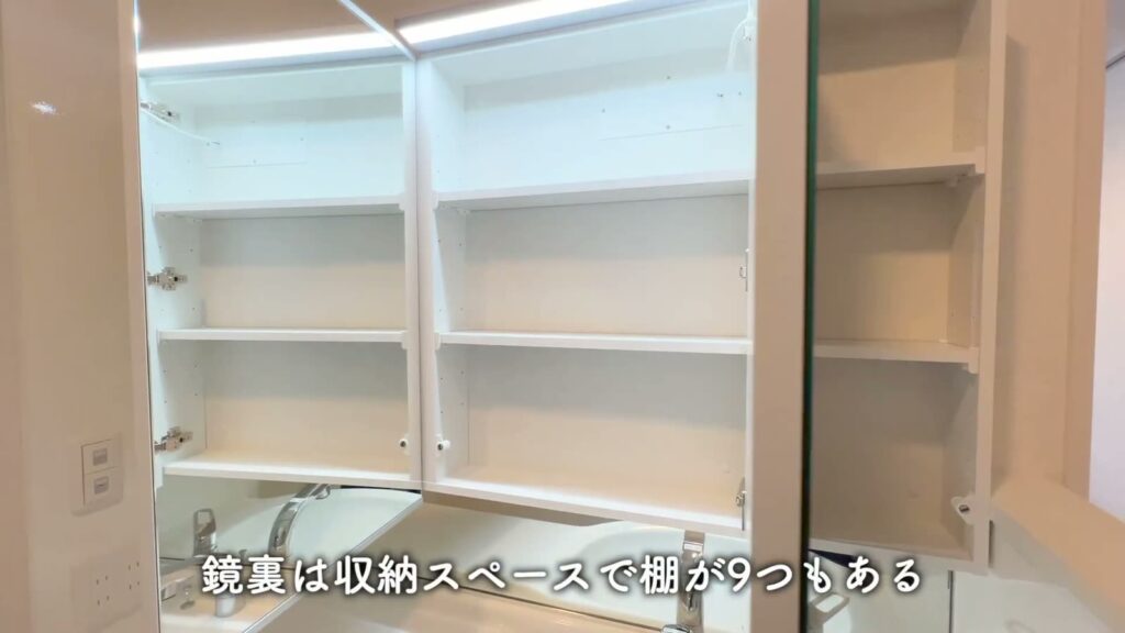 舟入幸町の1LDK 1LDKの鏡裏収納