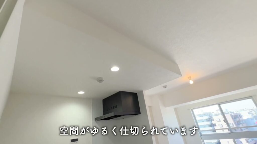 ミリアビタNo.39 1LDKの下がり天井