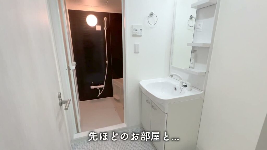 ミリアビタNo.39 1LDKの洗面と浴室