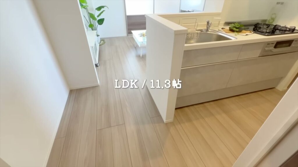 東広島市西条東北町の1LDK 1LDKのLDK入口