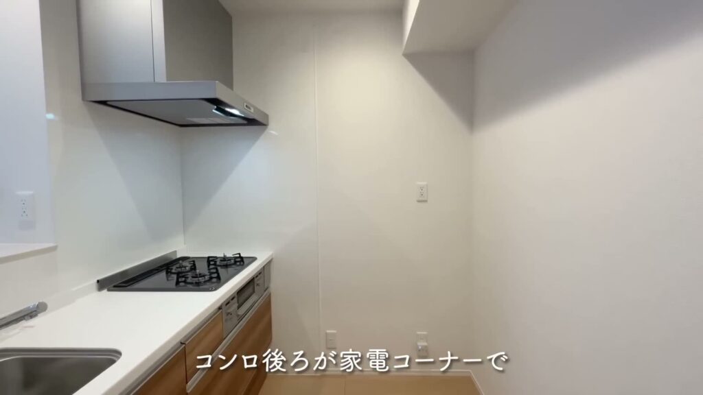 東広島市西条町の1LDK 1LDKのコンロ後ろ