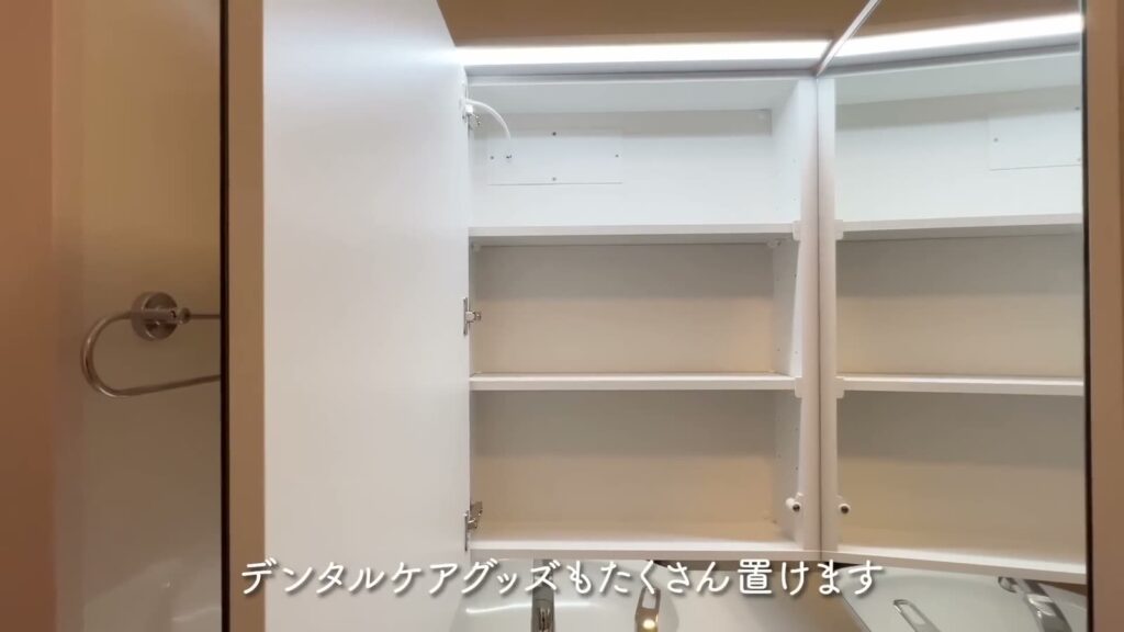 東広島市西条町の1LDK 1LDKの鏡裏の収納