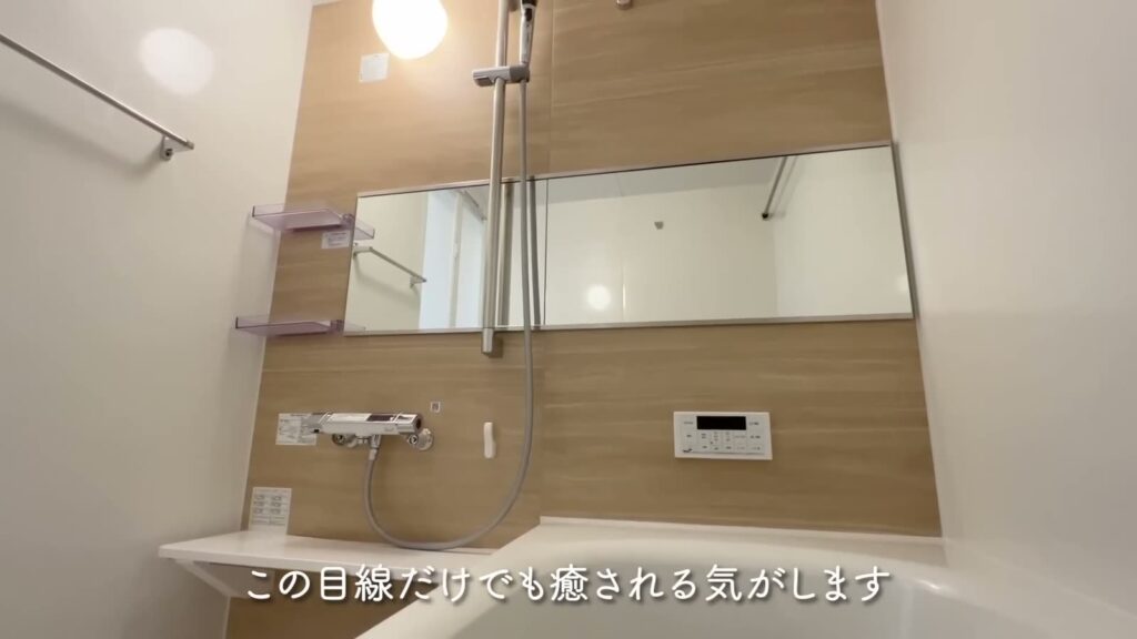 東広島市西条町の1LDK 1LDKのシャワー・鏡