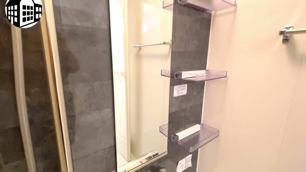 D-room内山 1LDKの棚と鏡