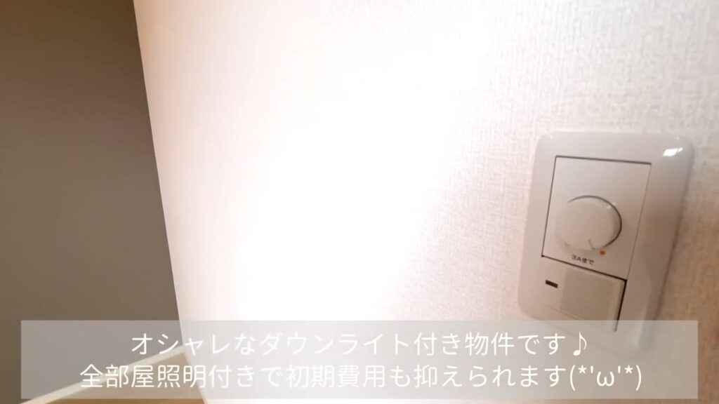 D-room内山 1LDKの調光スイッチ