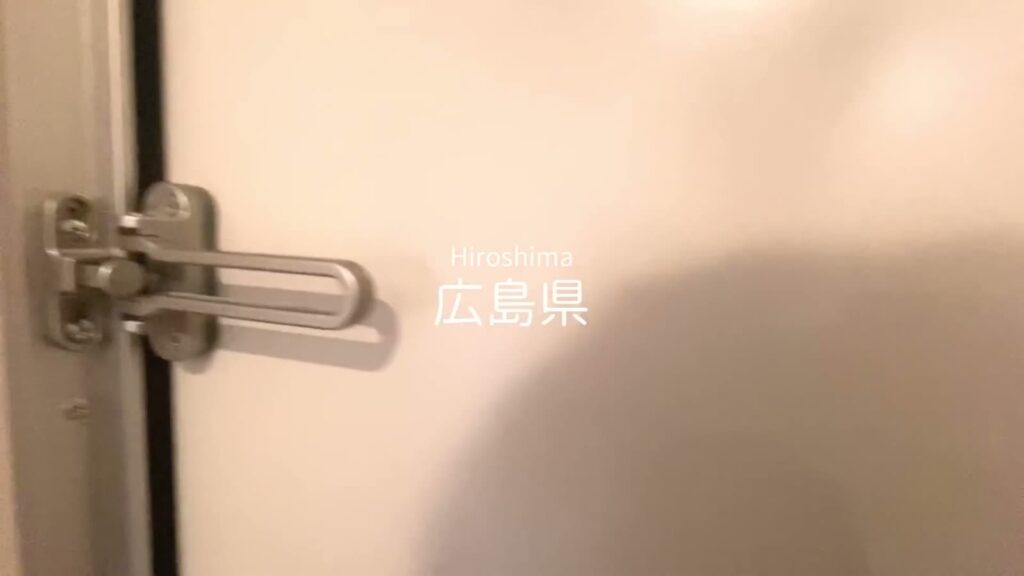 D-room内山 1LDKのドアガード