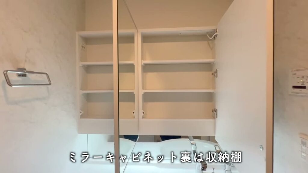 2LDKの鏡裏収納