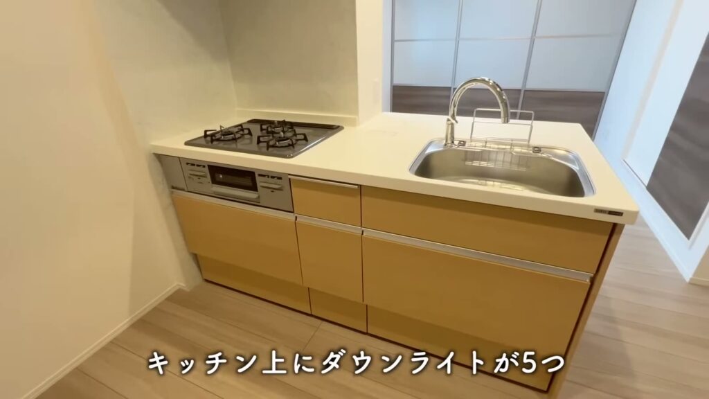 白島北町の1LDK 1LDKのキッチン