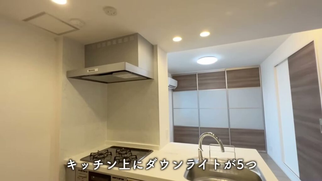 白島北町の1LDK 1LDKのキッチン上の照明