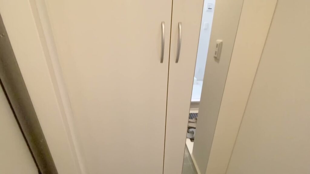 広島県の1R賃貸アパート 1Rのシューズボックス