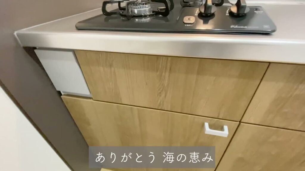 広島県の1LDK 1LDKの引き出し収納