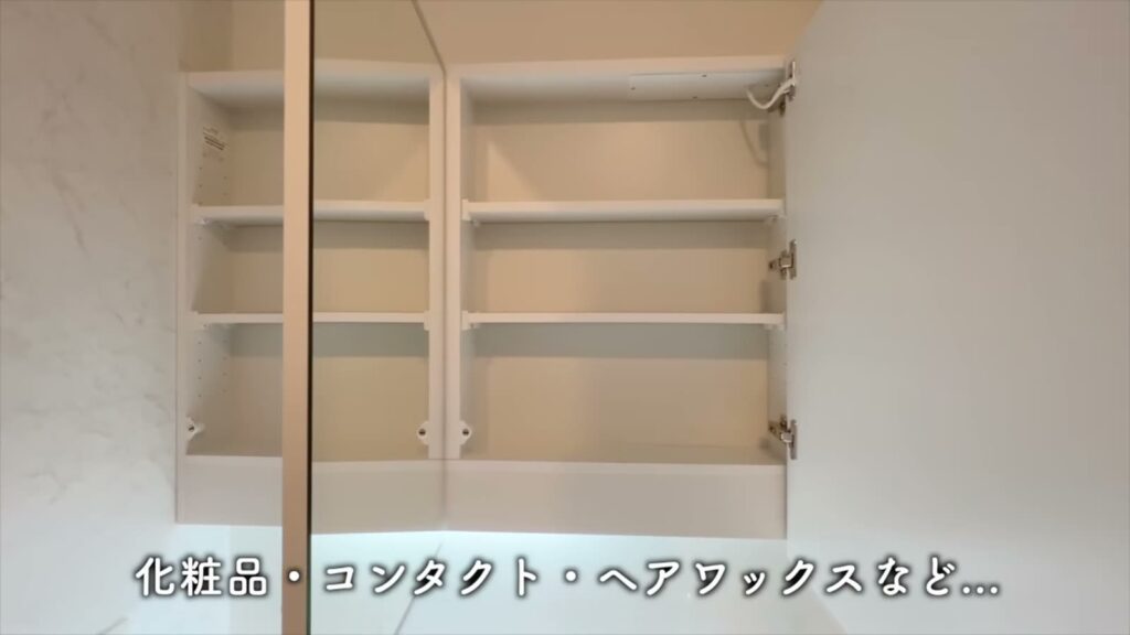 1LDKの鏡裏収納