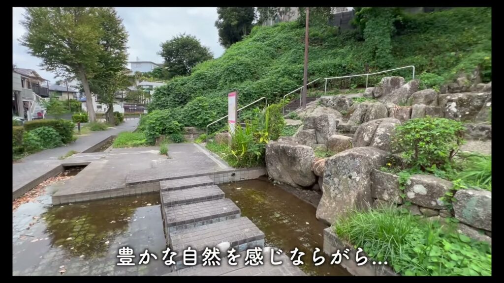 TAPETUM横濱 1Kの公園
