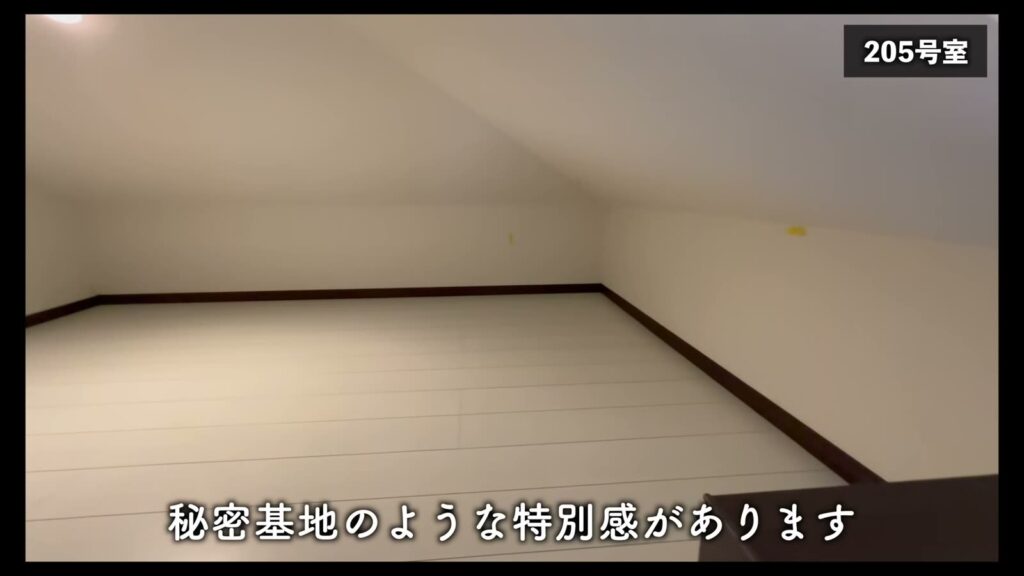 TAPETUM横濱 1Kの205号室のロフト