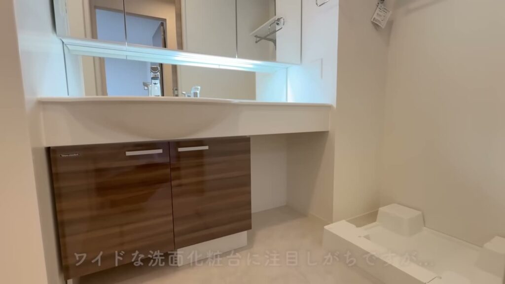 広島市南区東霞町の1LDK 1LDKの洗面室