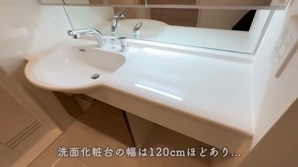 広島市南区東霞町の1LDK 1LDKの洗面台
