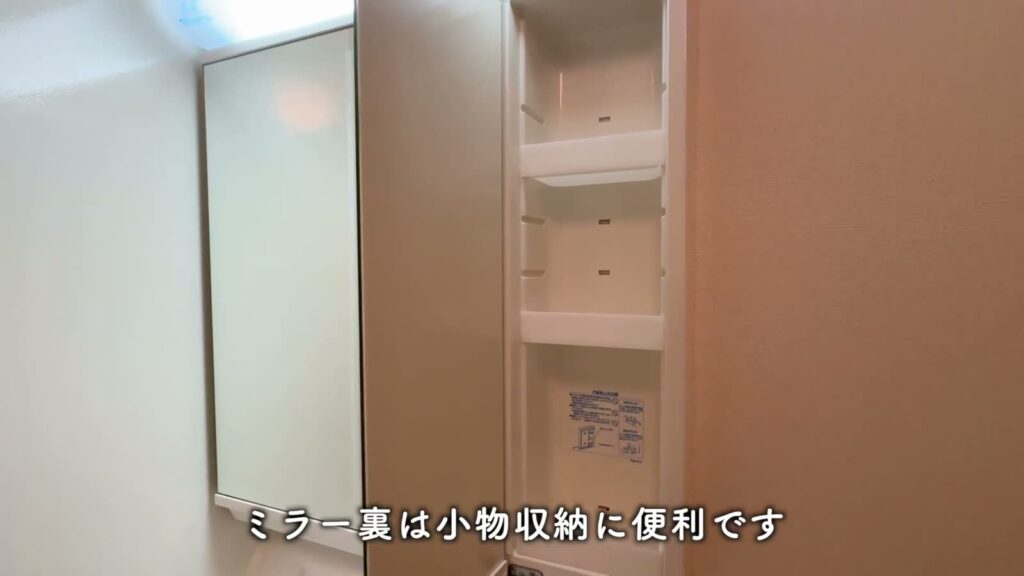 2LDKのミラー裏の収納