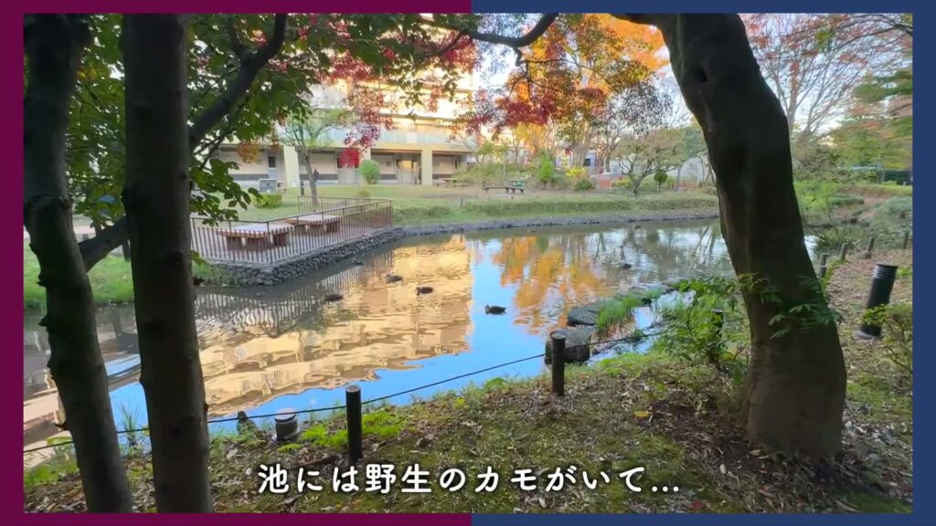 ひばりが丘パークヒルズ 2DKの団地内の池