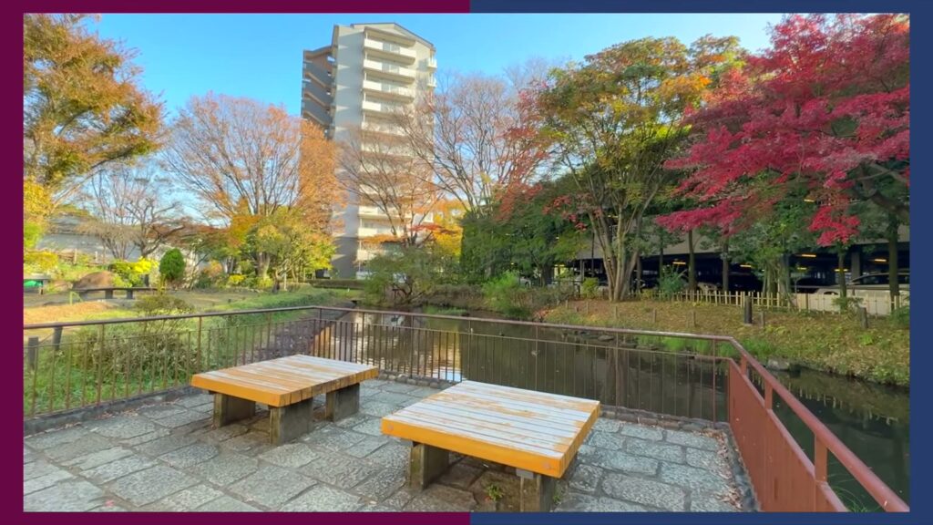 ひばりが丘パークヒルズ 2DKの池のほとりの広場