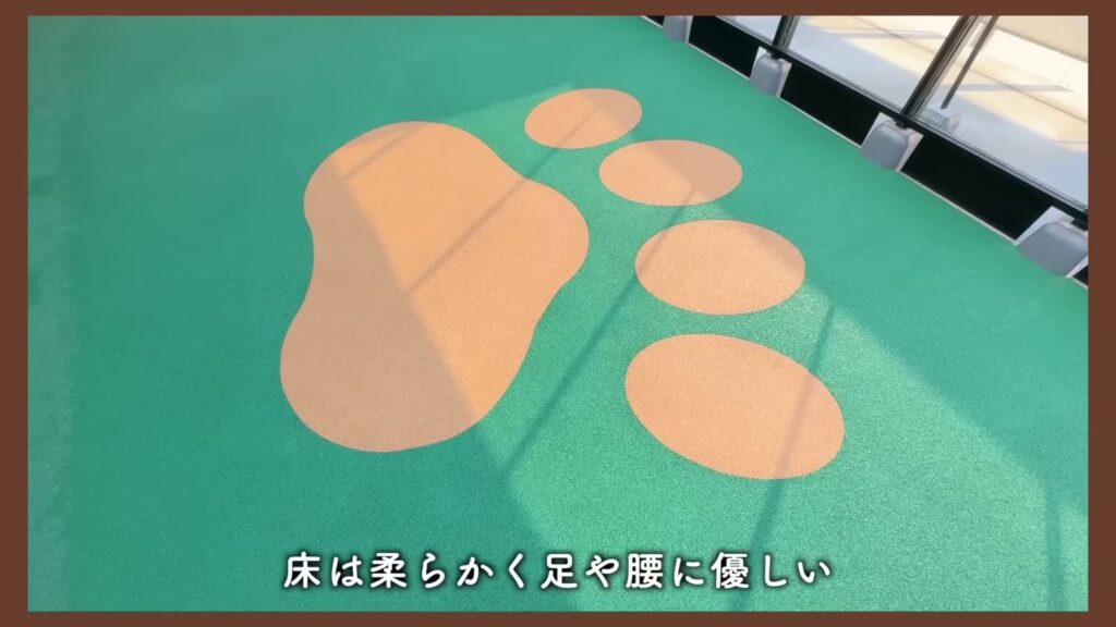 Dear WAN Court 氷川台 2LDKの足跡柄の床