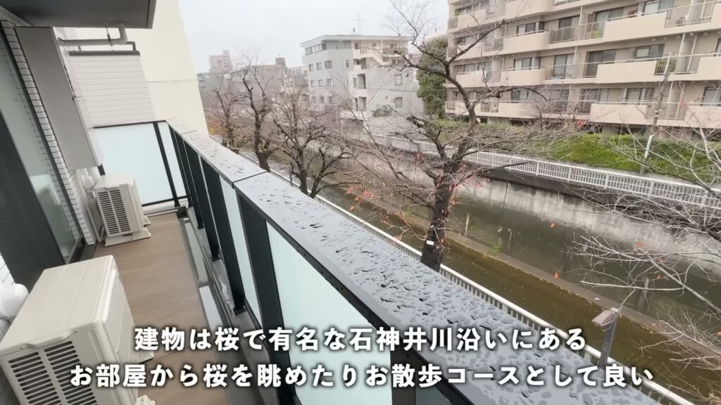 Dear WAN Court 氷川台 2LDKの石神井川