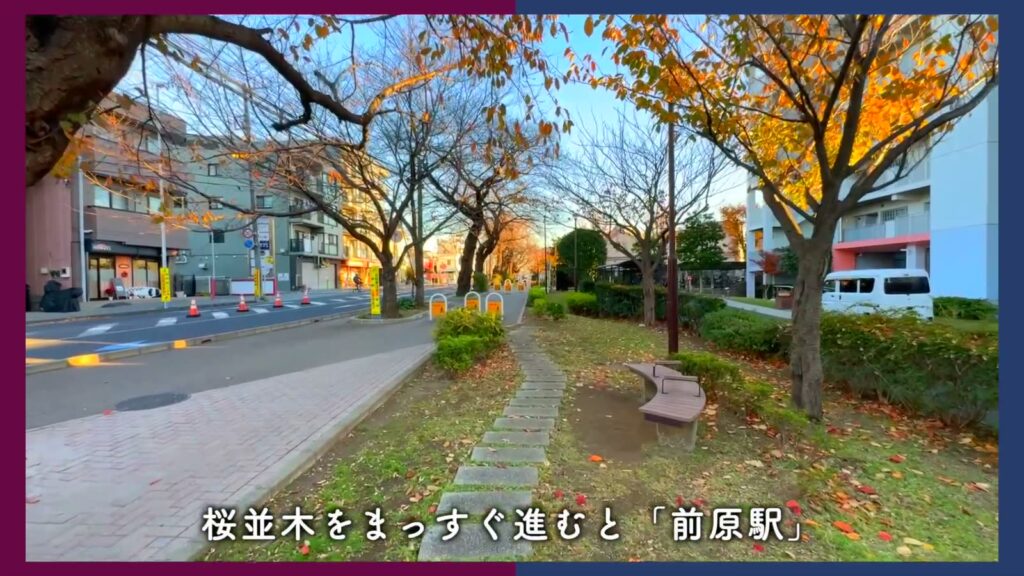 アルビス前原 2DKの駅へ続く桜並木