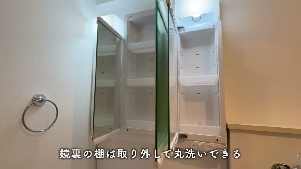 青戸第一 2LDKの鏡裏の収納