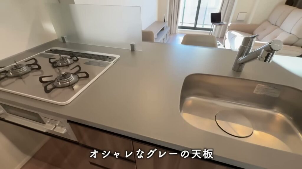 文京区本駒込の1LDK 1LDKの天板