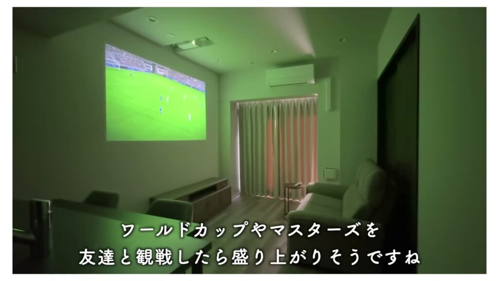 文京区本駒込の1LDK 1LDKのスポーツ観戦