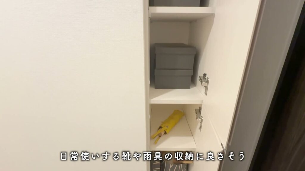 プレシスヴィアラ千葉登戸 1LDKの収納