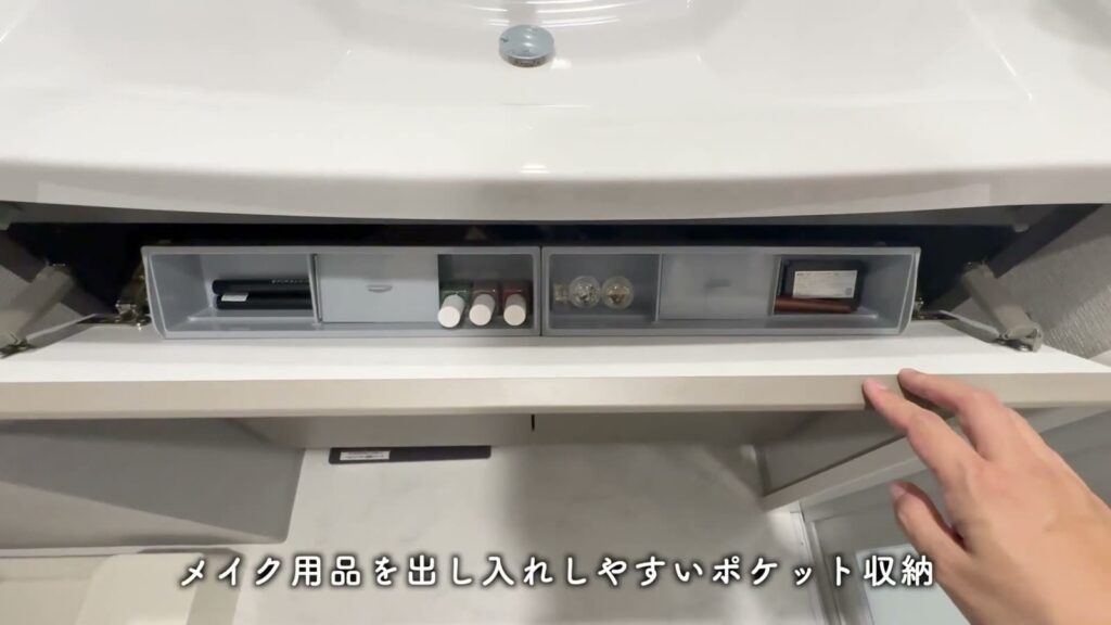 プレシスヴィアラ千葉登戸 1LDKのポケット収納