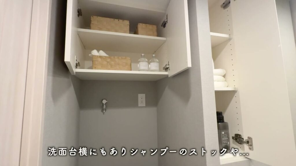 プレシスヴィアラ千葉登戸 1LDKの洗濯機上の棚