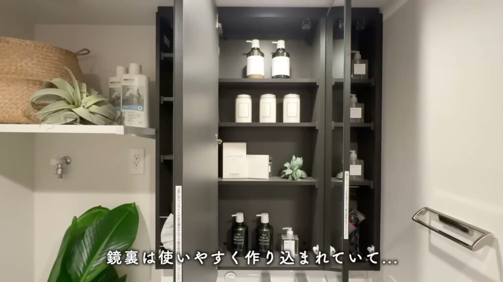プライムスタイル横浜生麦 1LDKの鏡裏収納