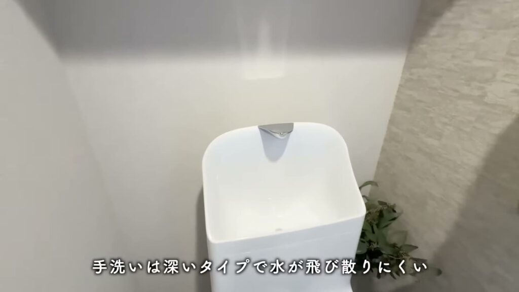 ジェイグラン国立 2LDKの手洗い
